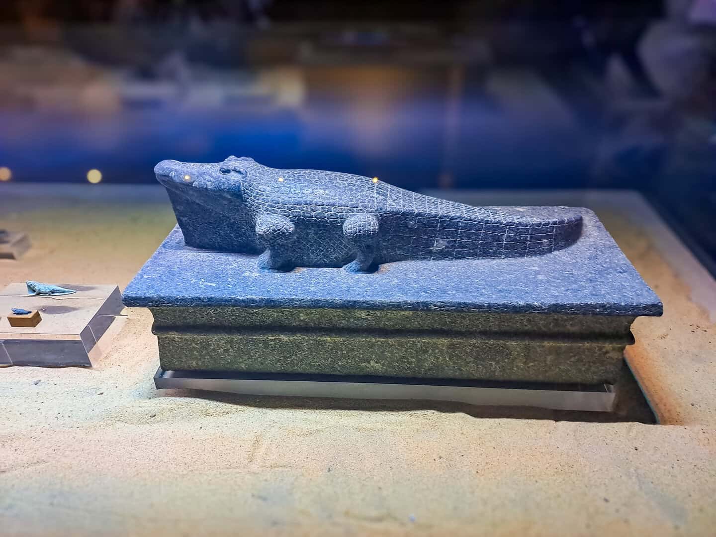 I segreti del culto egizio antico rivelati da un coccodrillo mummificato