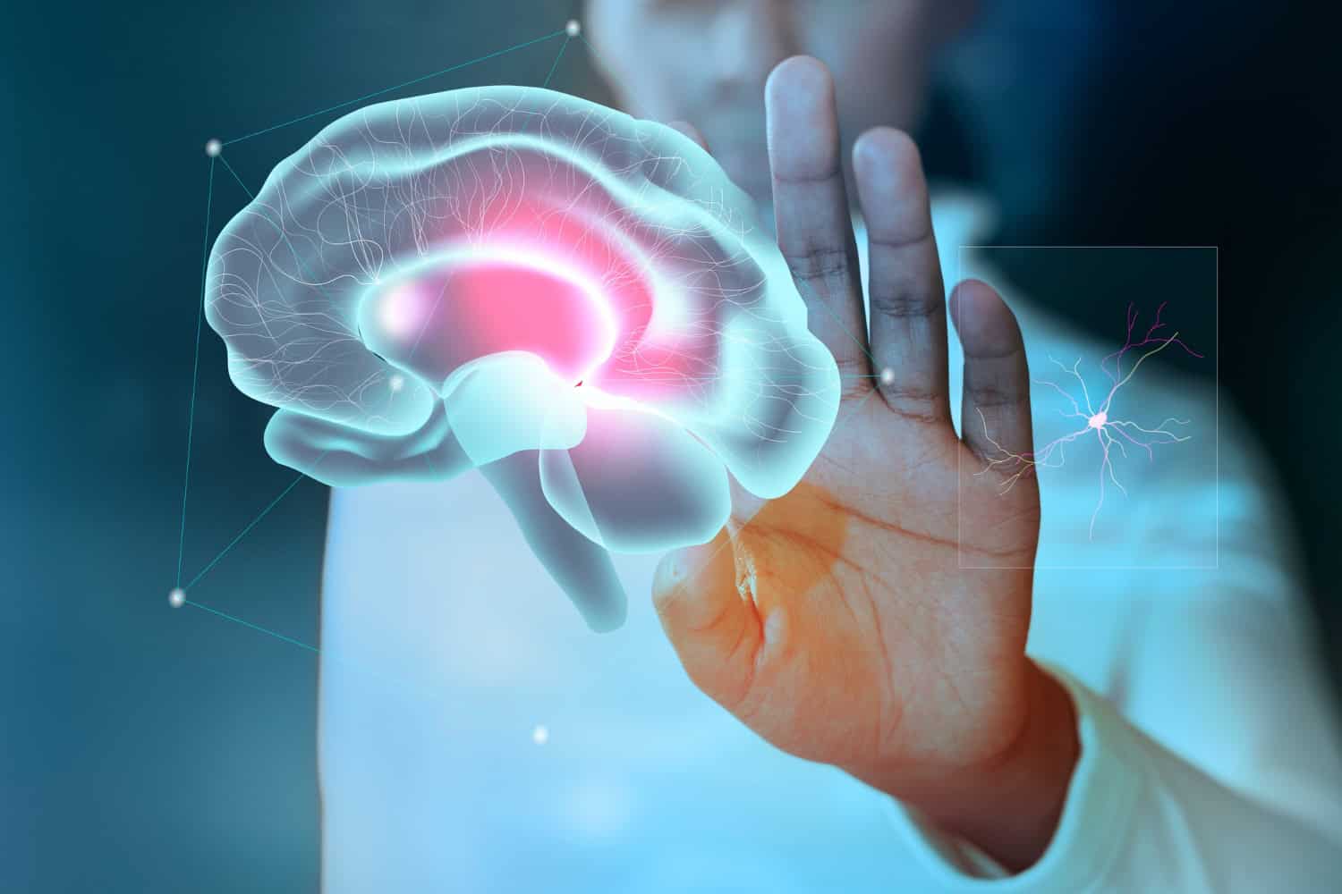 Comprendere il funzionamento del cervello: creato un nuovo modello corticale