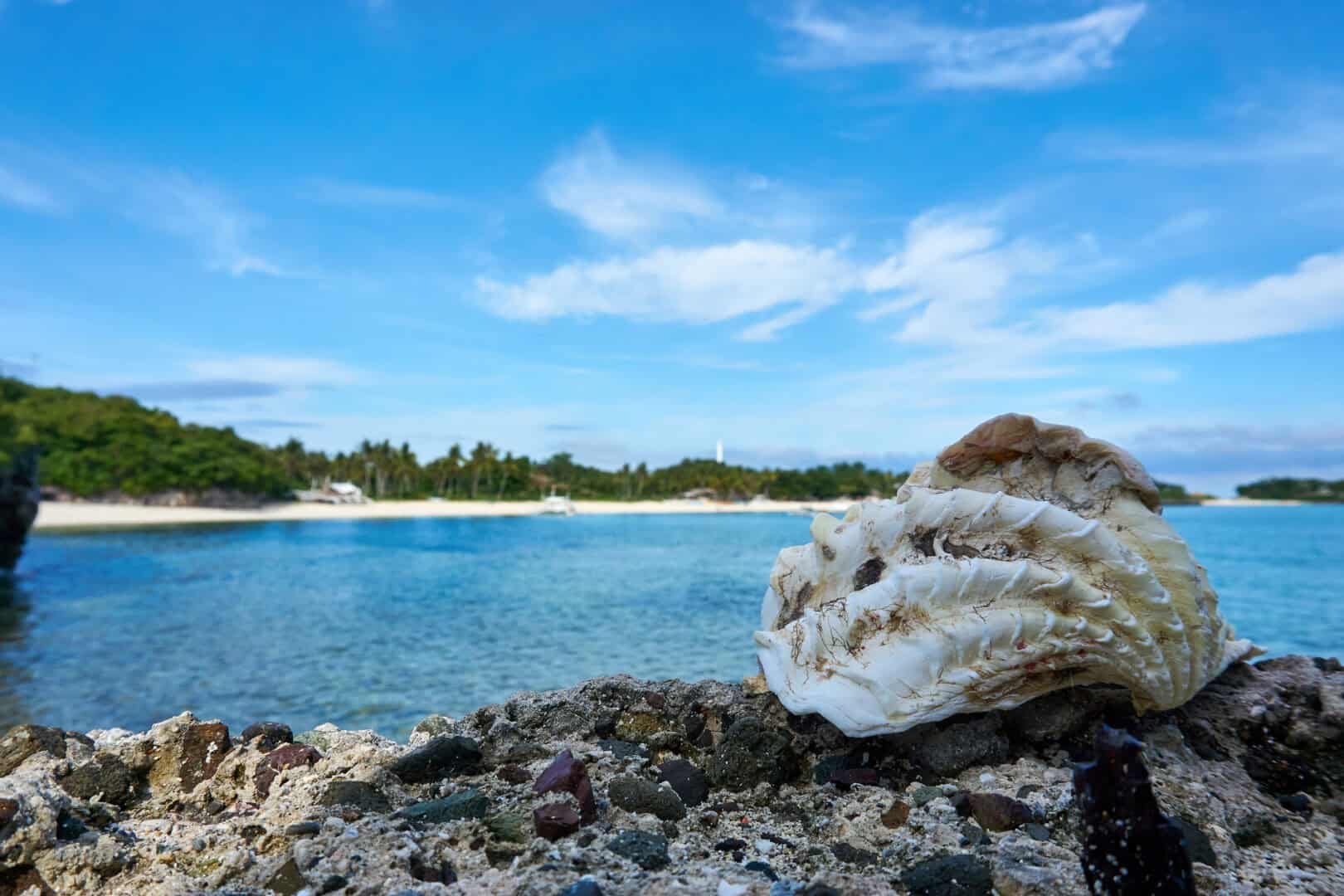 Turismo a Malapascua, Filippine. Scopri mare e diving a basso costo