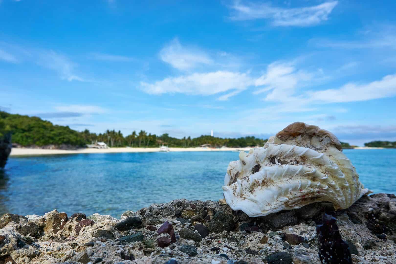 Turismo a Malapascua, Filippine. Scopri mare e diving a basso costo