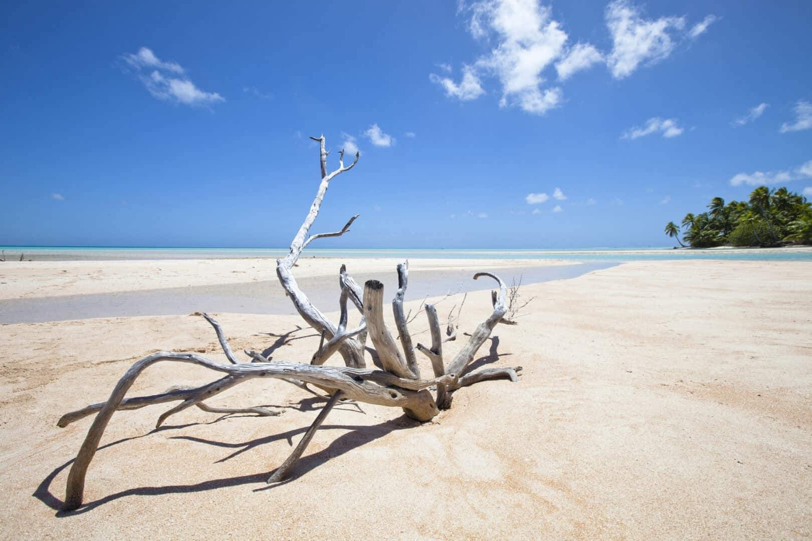 Turismo a Réunion: esplora scogliere. Vulcani e spiagge a basso costo