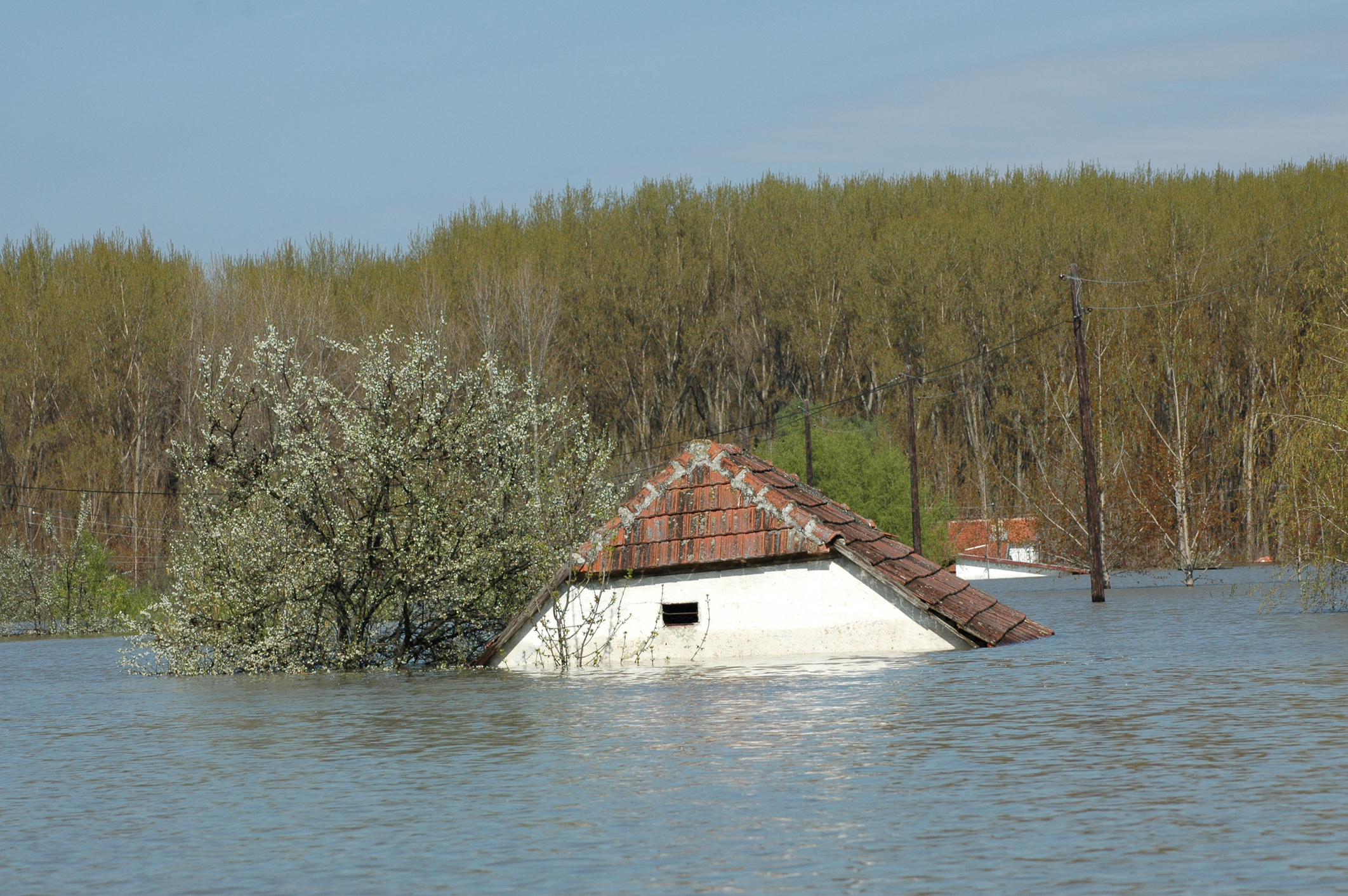 China, it’s a disaster. A dam wall has cracked. A black year for floods thumbnail