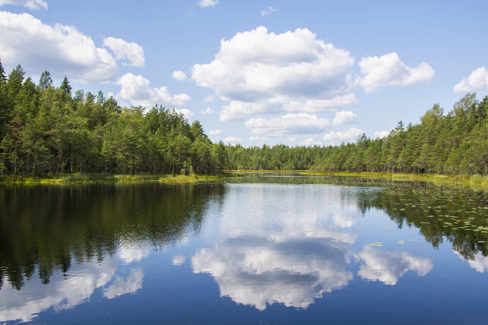 Viaggio in Finlandia. Esplorando i sentieri naturalistici di Nuuksio