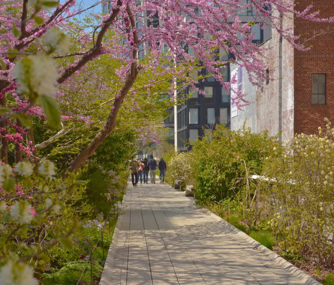 Viaggio a New York. Relax nei giardini del West Side Community Garden