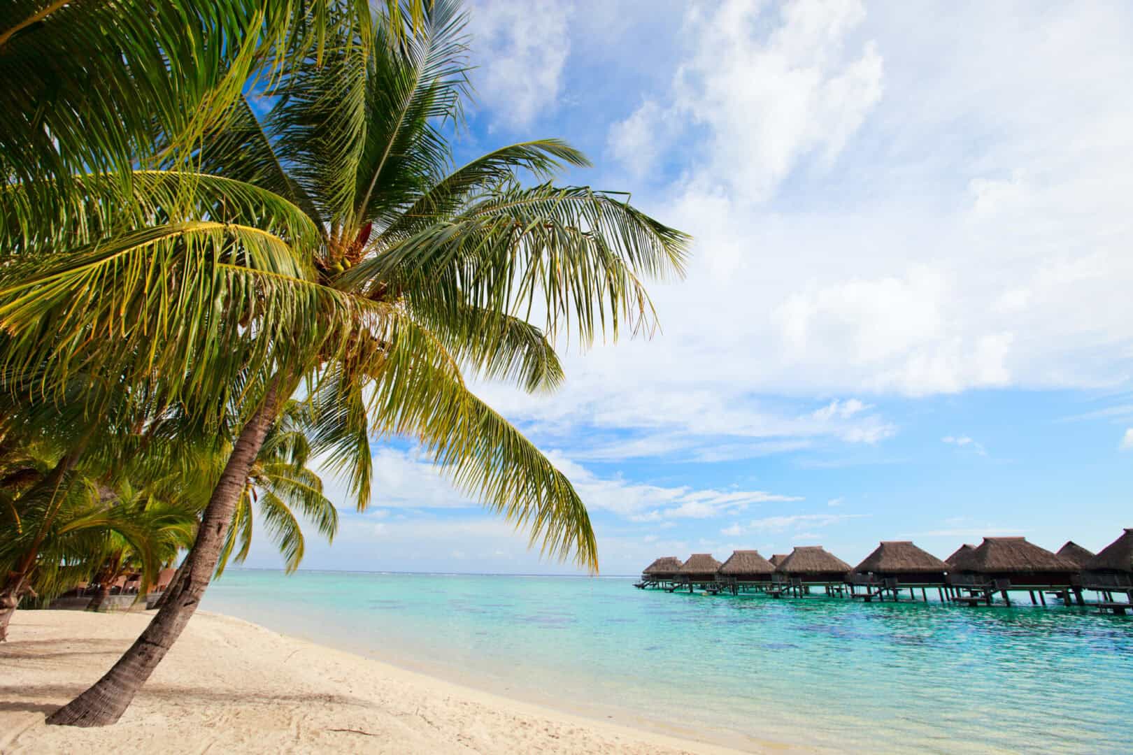 Viaggio low cost a Moorea. Scoprire mare e tradizioni polinesiane