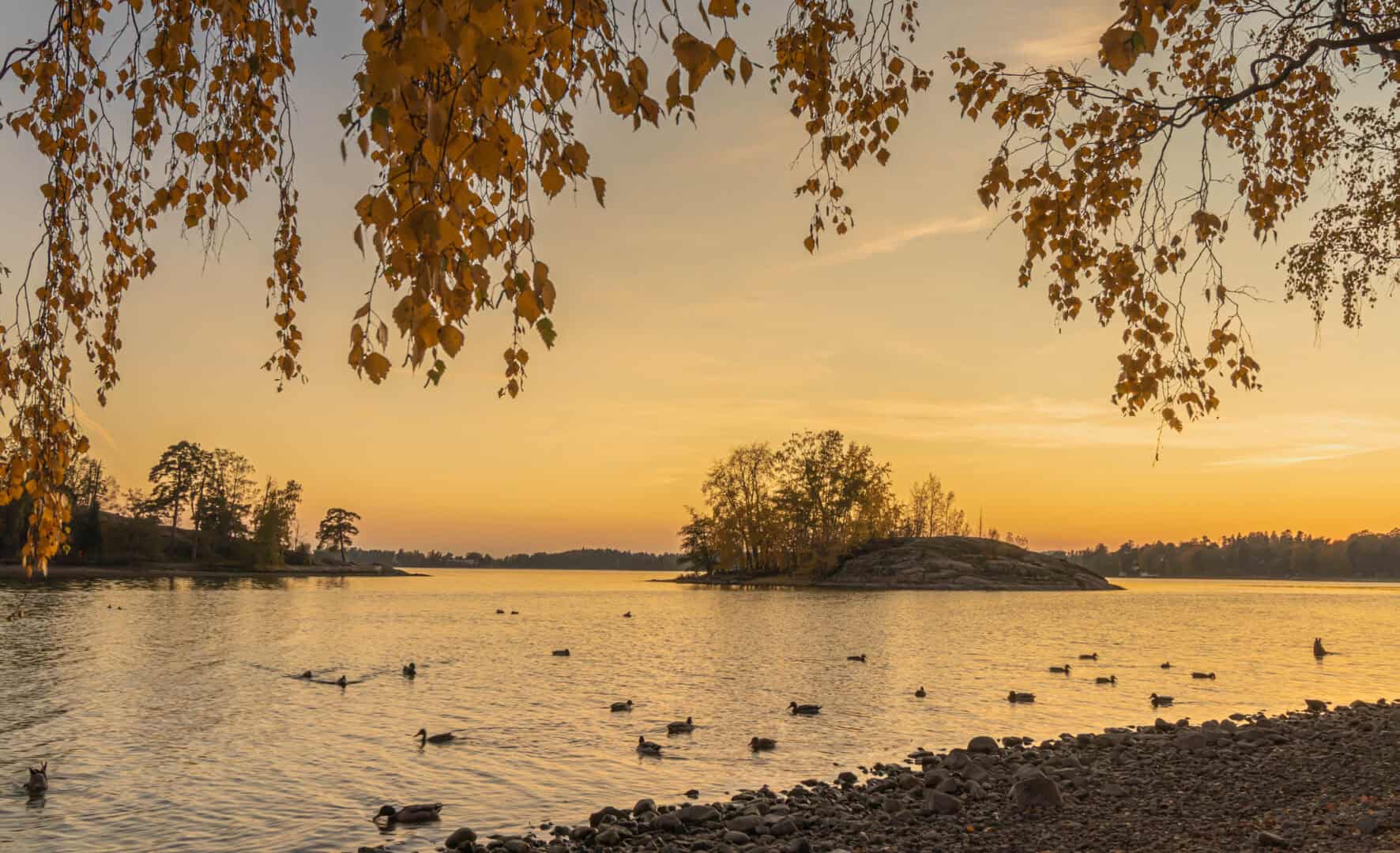 Turismo in Finlandia. Alla scoperta delle isole incantate di Seurasaari