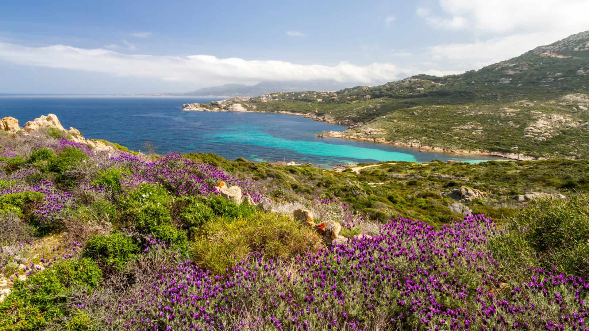Viaggio in Corsica. Alla scoperta delle spiagge incantevoli dell’isola