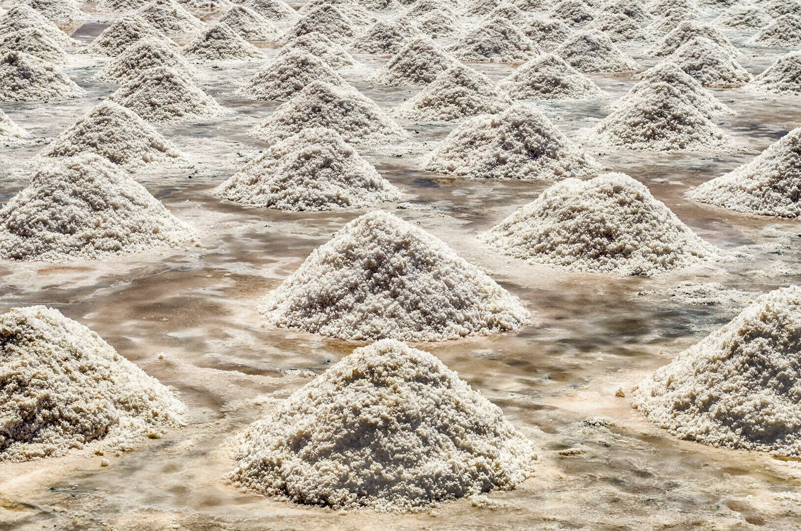 Viaggio alla scoperta delle storiche saline di Trapani. Scopri la magia del sale siciliano