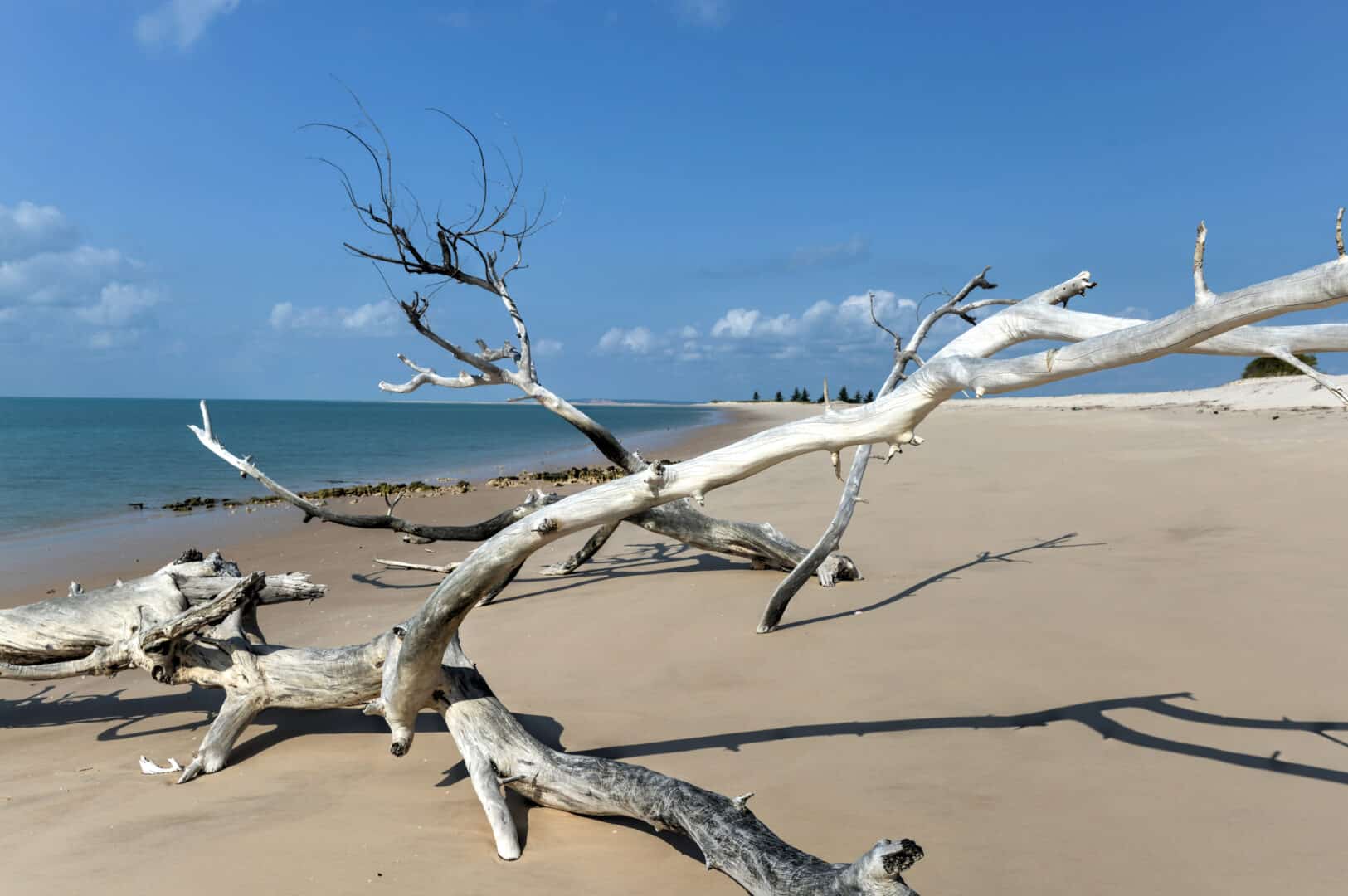 Viaggio low cost a Bazaruto, Mozambico. Tra spiagge incantevoli e natura selvaggia
