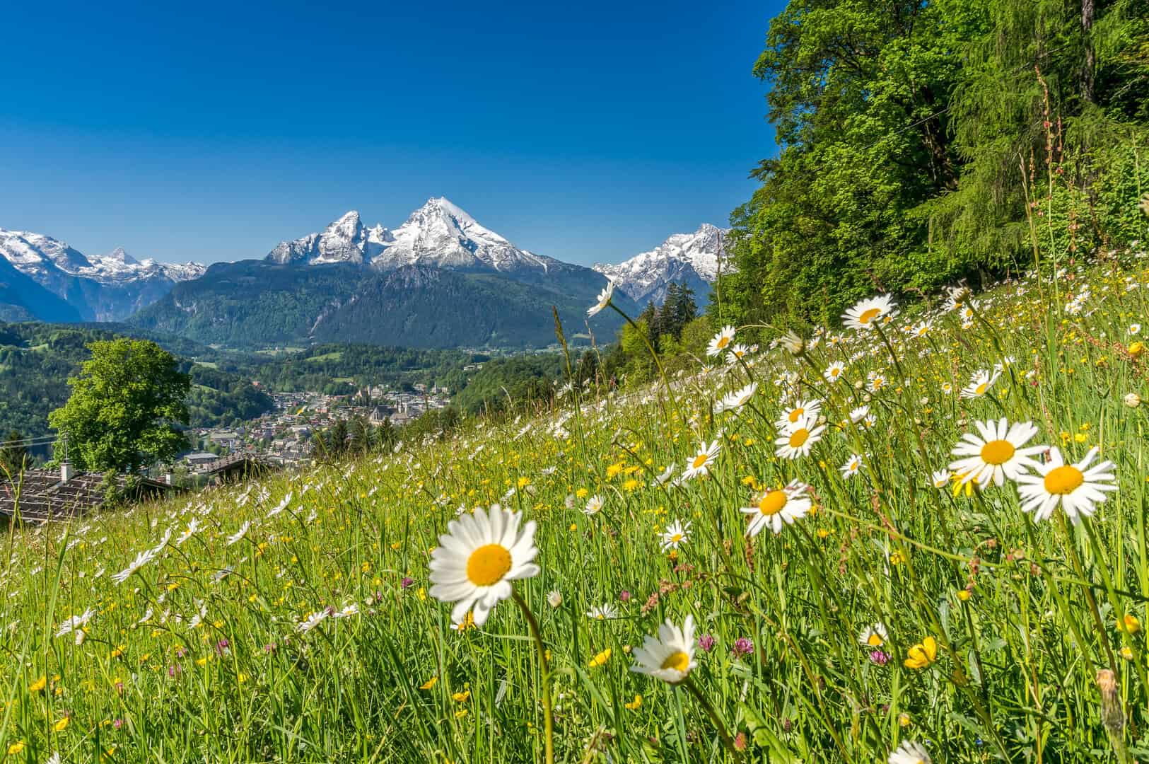Viaggio nelle Alpi bavarese. Scoperta delle montagne incantate della Germania
