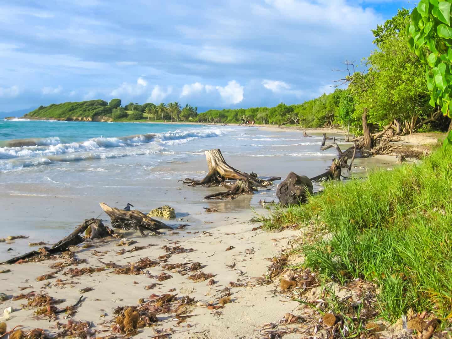Viaggio nei Caraibi. Esplorazione delle incantevoli spiagge di Grande-Terre