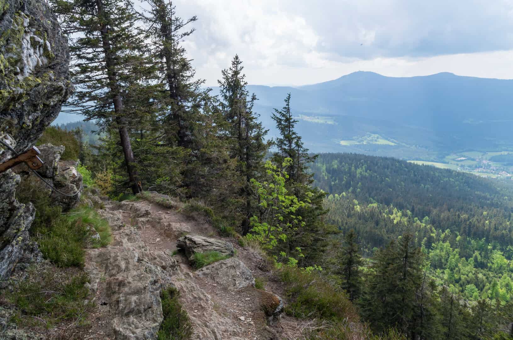 Viaggio nel parco nazionale del Bavarian Forest. Guide ed escursioni