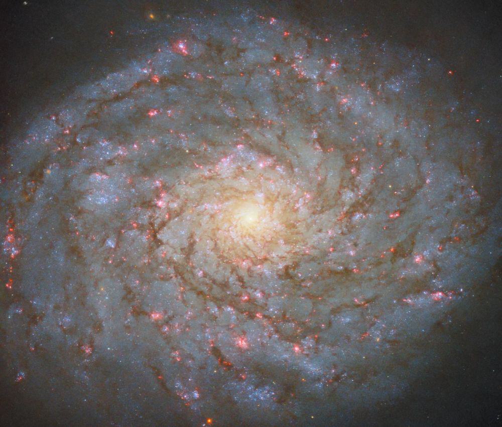 galassia ngc 4689 ubble