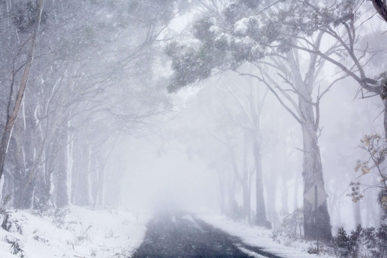 Ondata di meteo estremo in Australia: temperature minime record e diffuse gelate