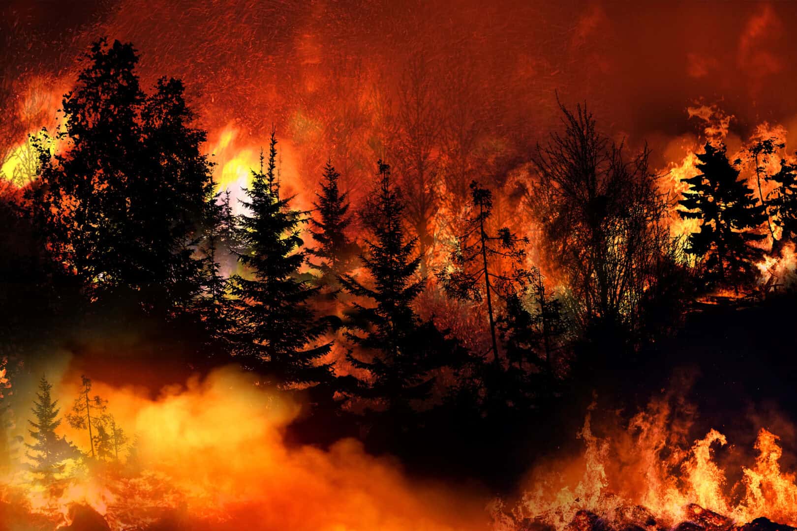 California: il mega incendio Park Fire fuori controllo, è un'emergenza nazionale