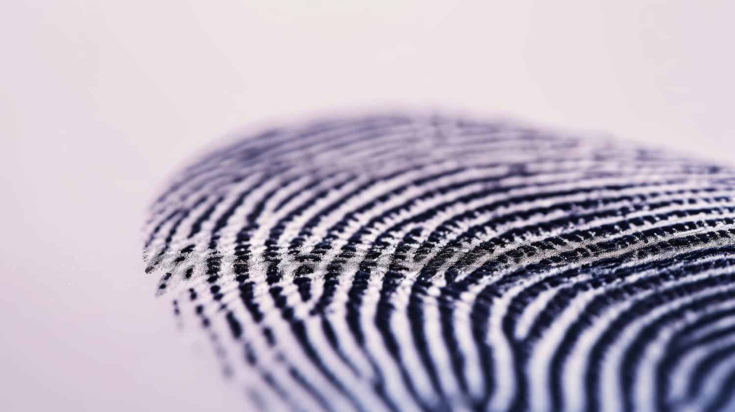 Metodo rivoluzionario basato su IA genera le “impronte digitali” dei materiali