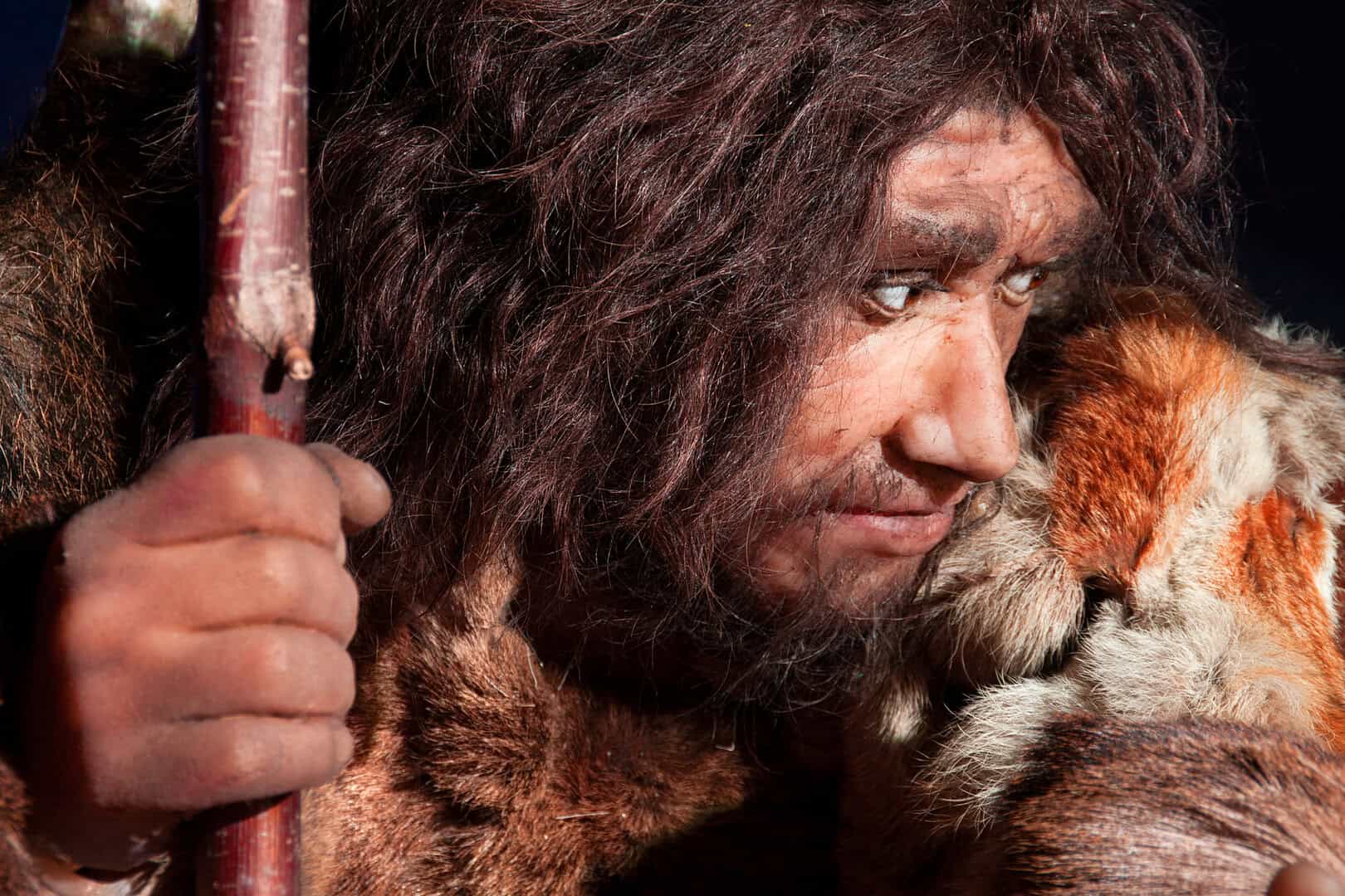 Siamo tutti un po’ Neanderthaliani: come l’Homo Sapiens si incrociò con il cugino estinto