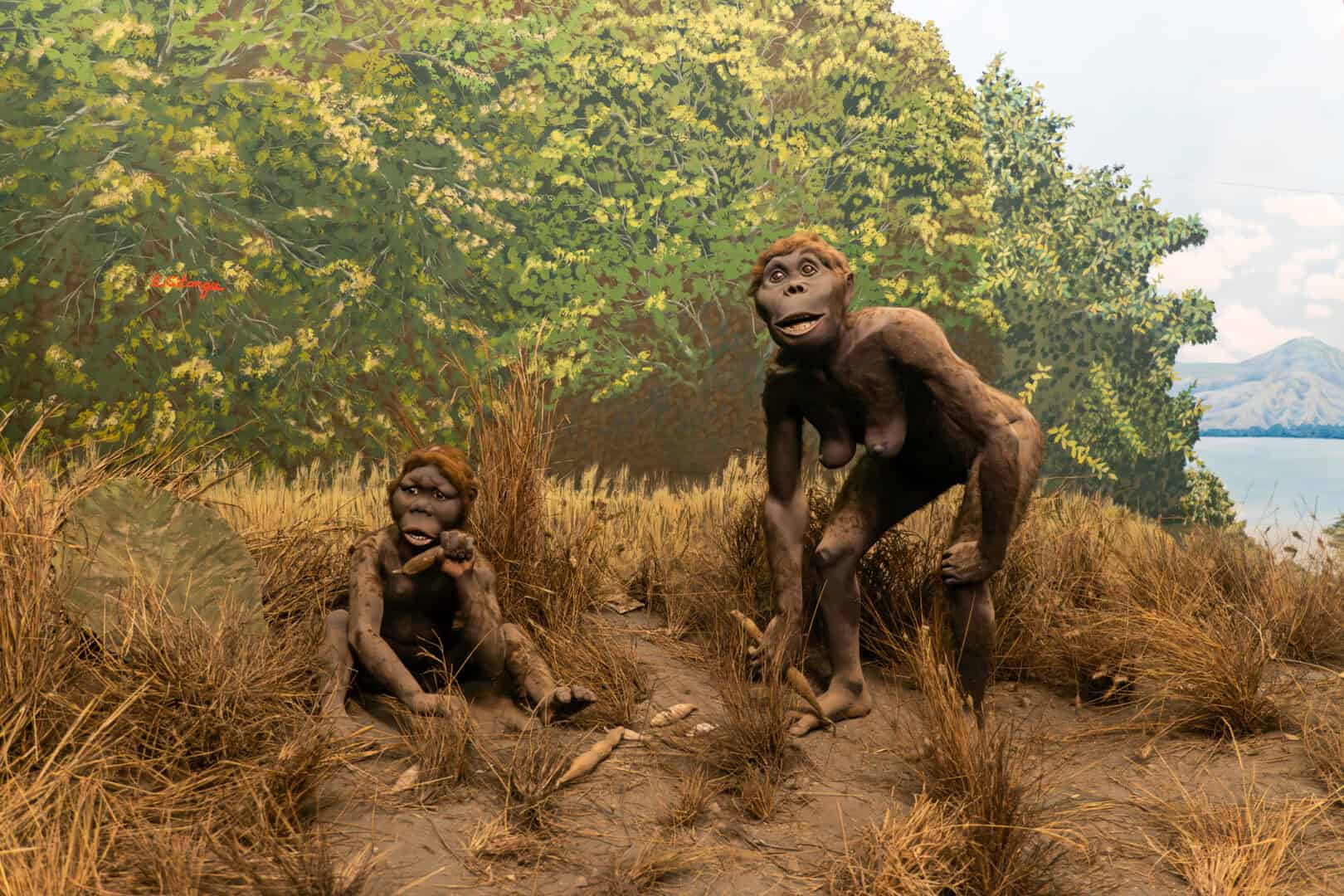 Scoperta di fossili antichi in Sudafrica offre nuove prospettive sull’origine umana