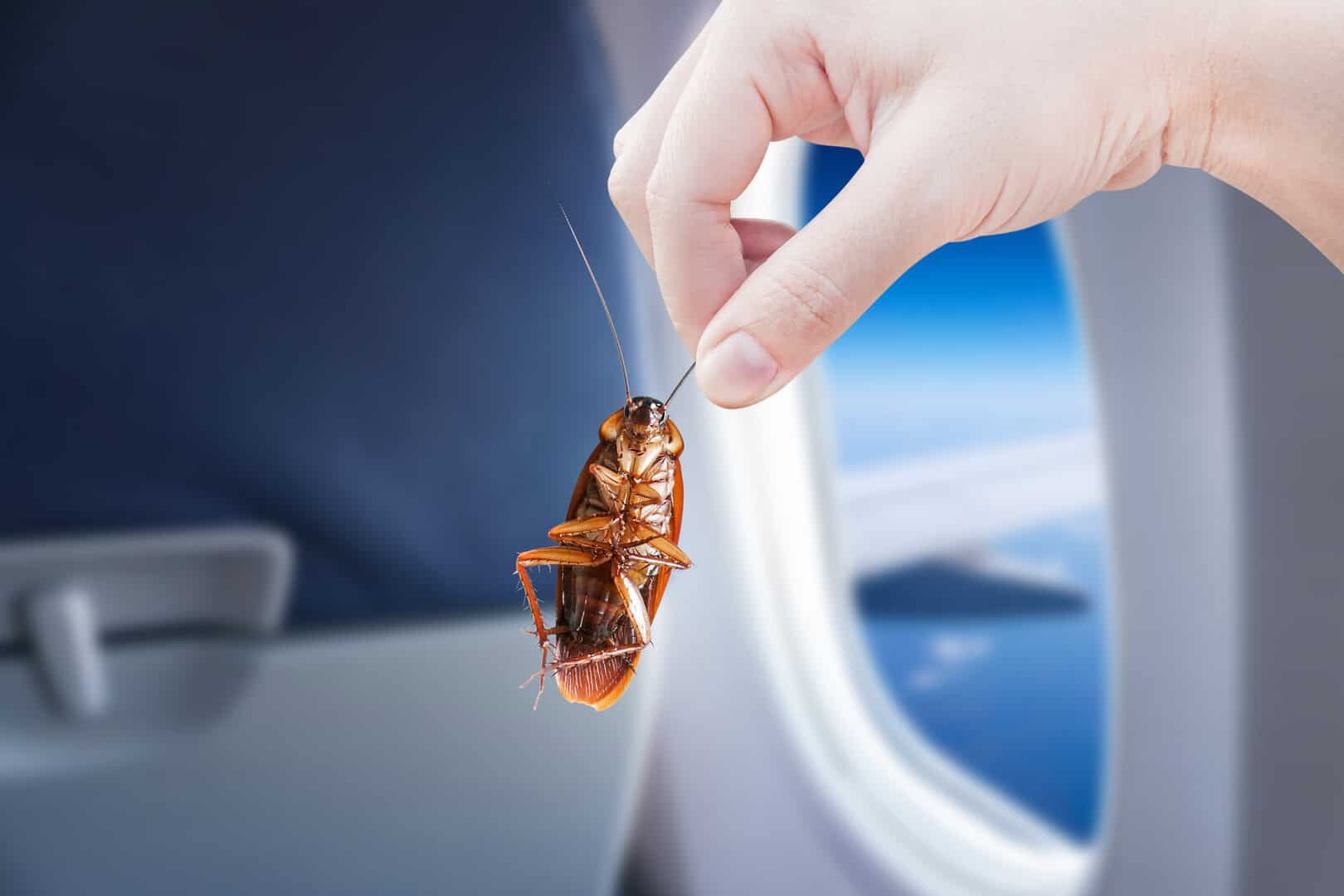 Togliere le scarpe sull’aereo? I buoni motivi per non farlo