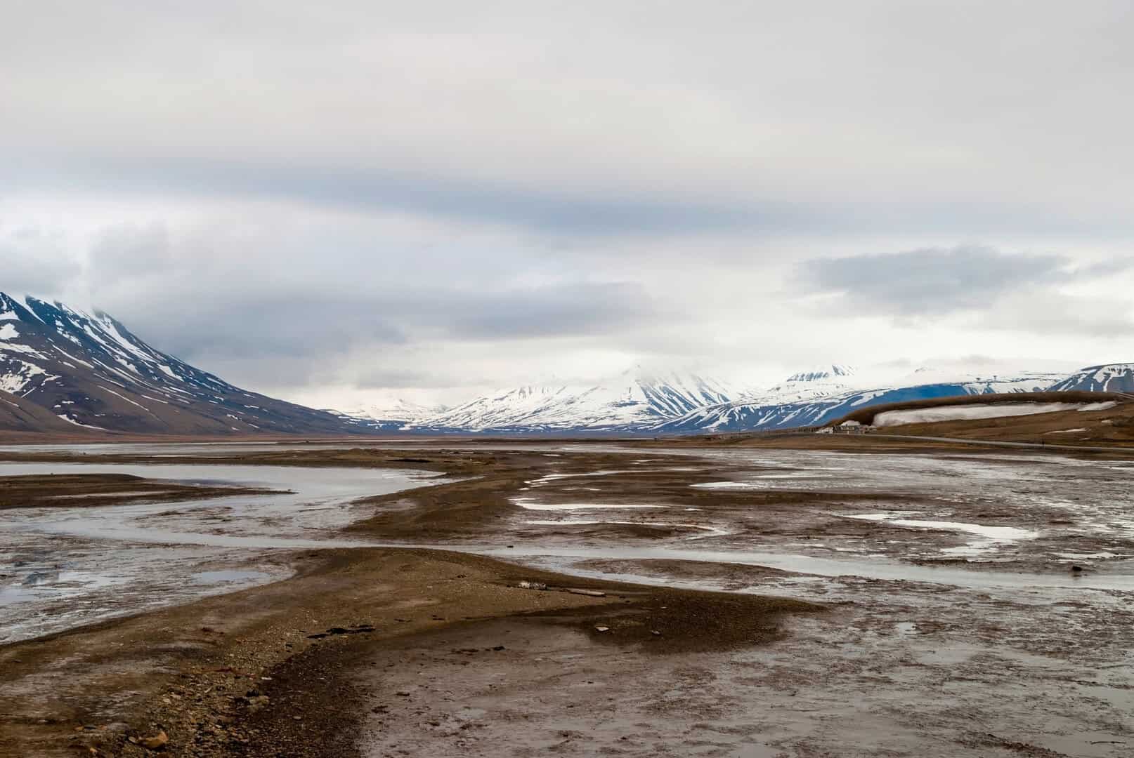 Cattive notizie per il clima: il riscaldamento globale trasforma la tundra in fonte di emissione di carbonio