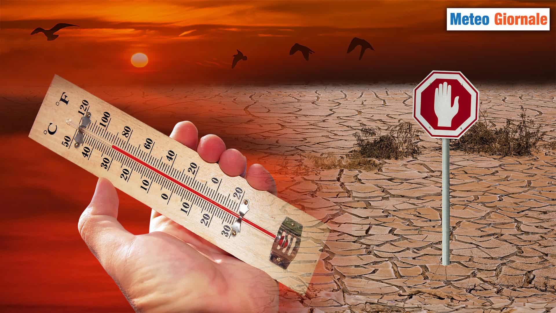 Il rovescio della medaglia del METEO estremo: la SICCITA' e la crisi ecosistemica