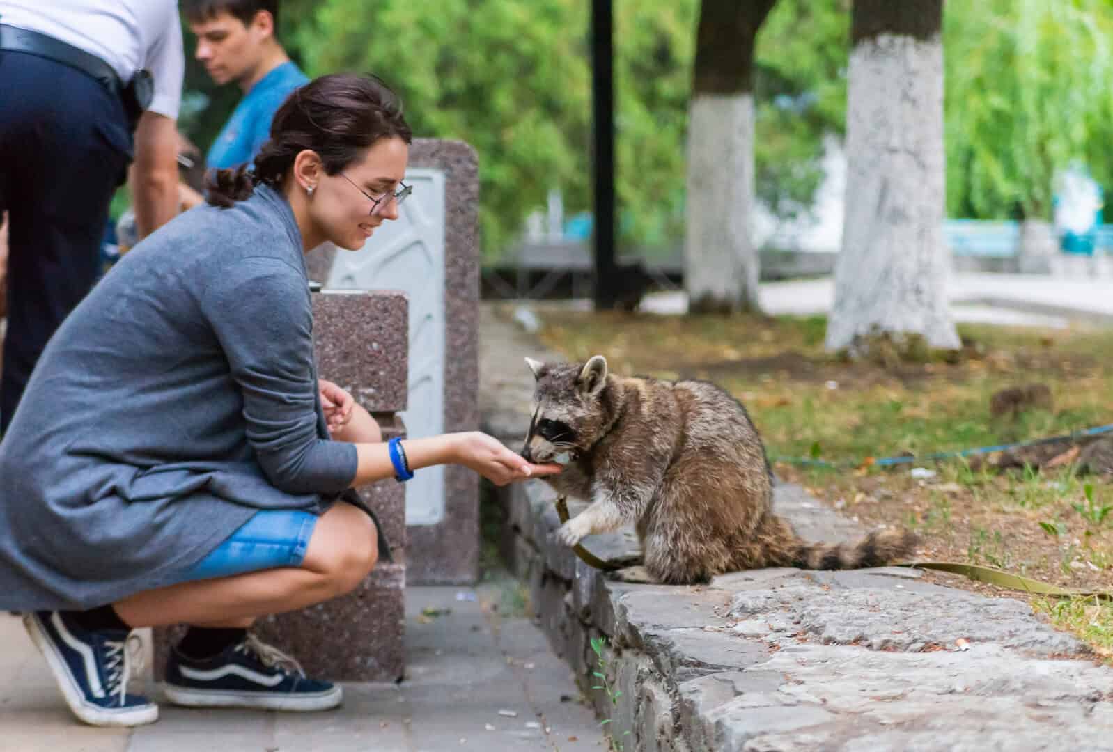Scoperta preoccupante: il virus SARS-CoV-2 si diffonde anche tra gli animali selvatici