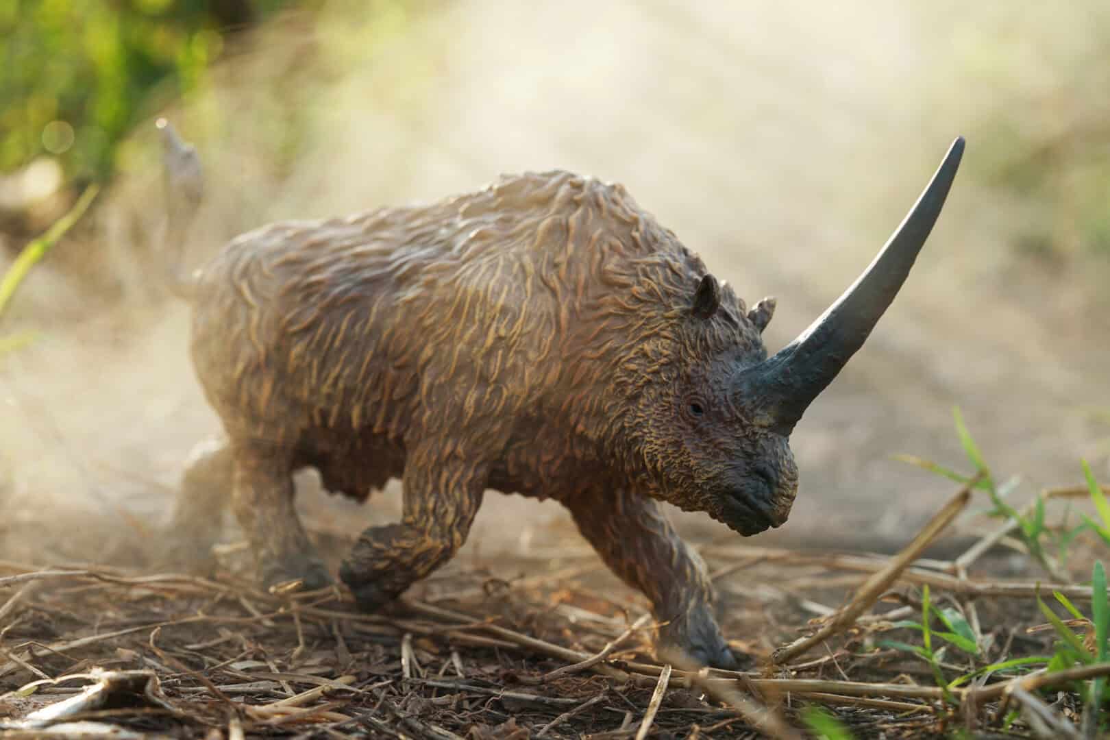 Postdatata l'estinzione dell'unicorno siberiano: visse con gli umani fino 39mila anni fa