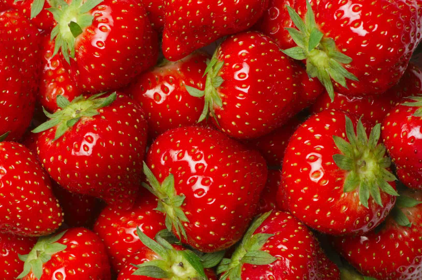 Scoperte genetiche rivoluzionarie migliorano la qualità delle fragole: più belle e più buone