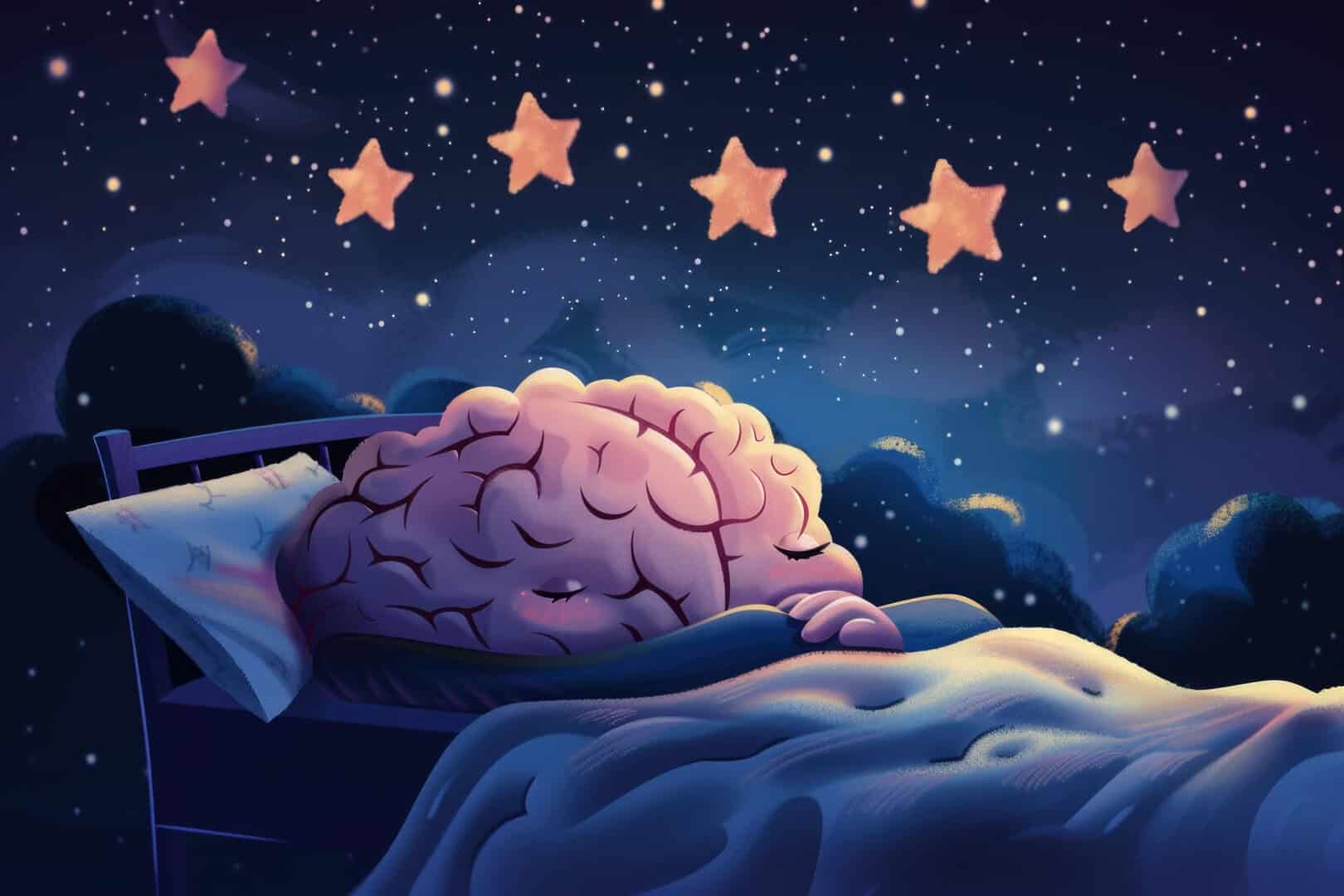 La memoria? Si resetta ogni notte