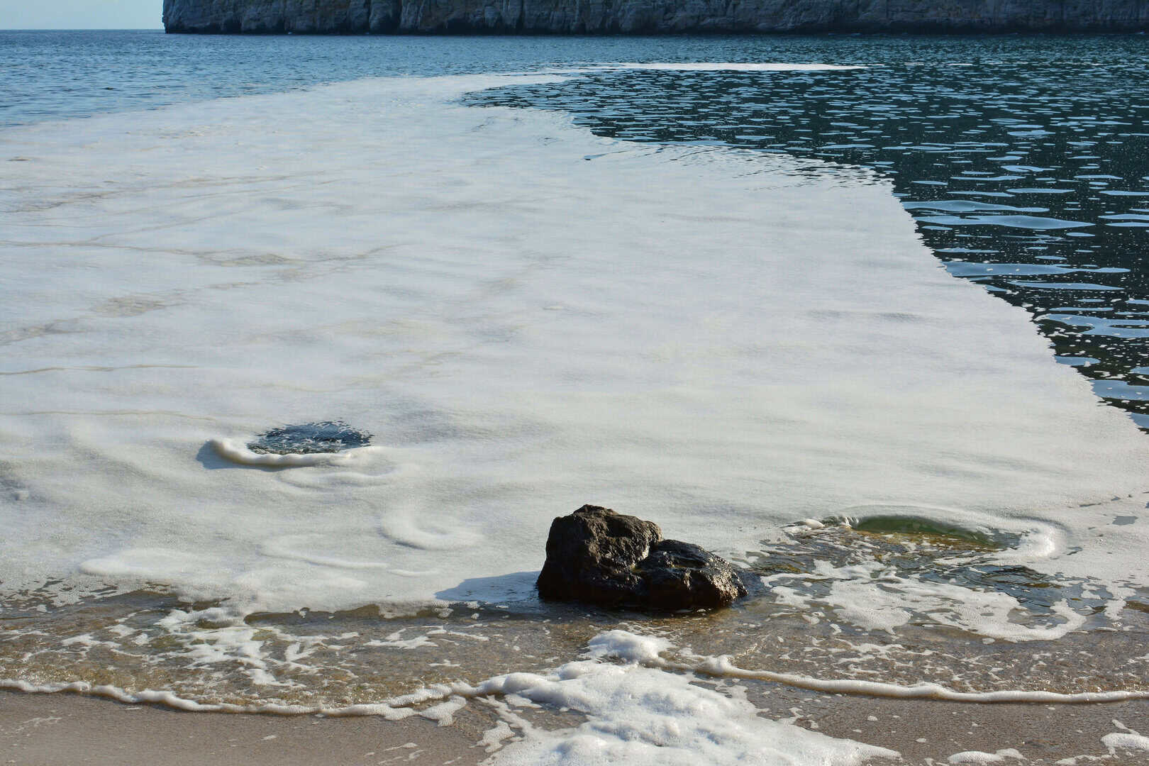 L’Adriatico sull’orlo del caos? Mucillagine e specie aliene potrebbero rivoluzionare l’ecosistema!