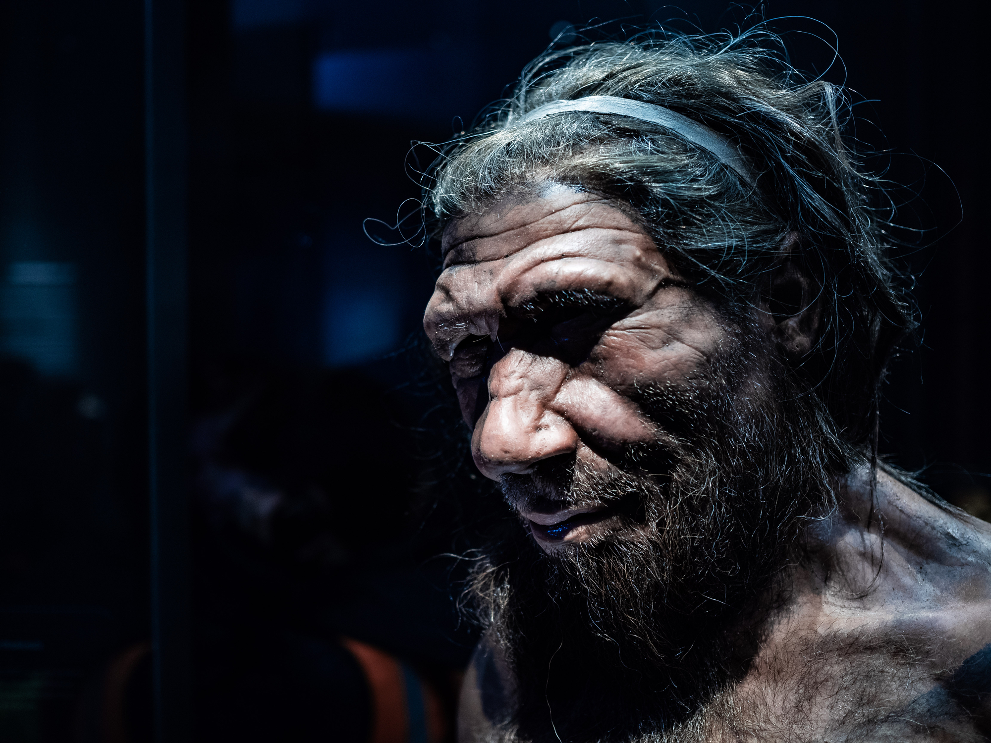 La era perdida de los Neandertales: un sitio arqueológico revela la historia thumbnail