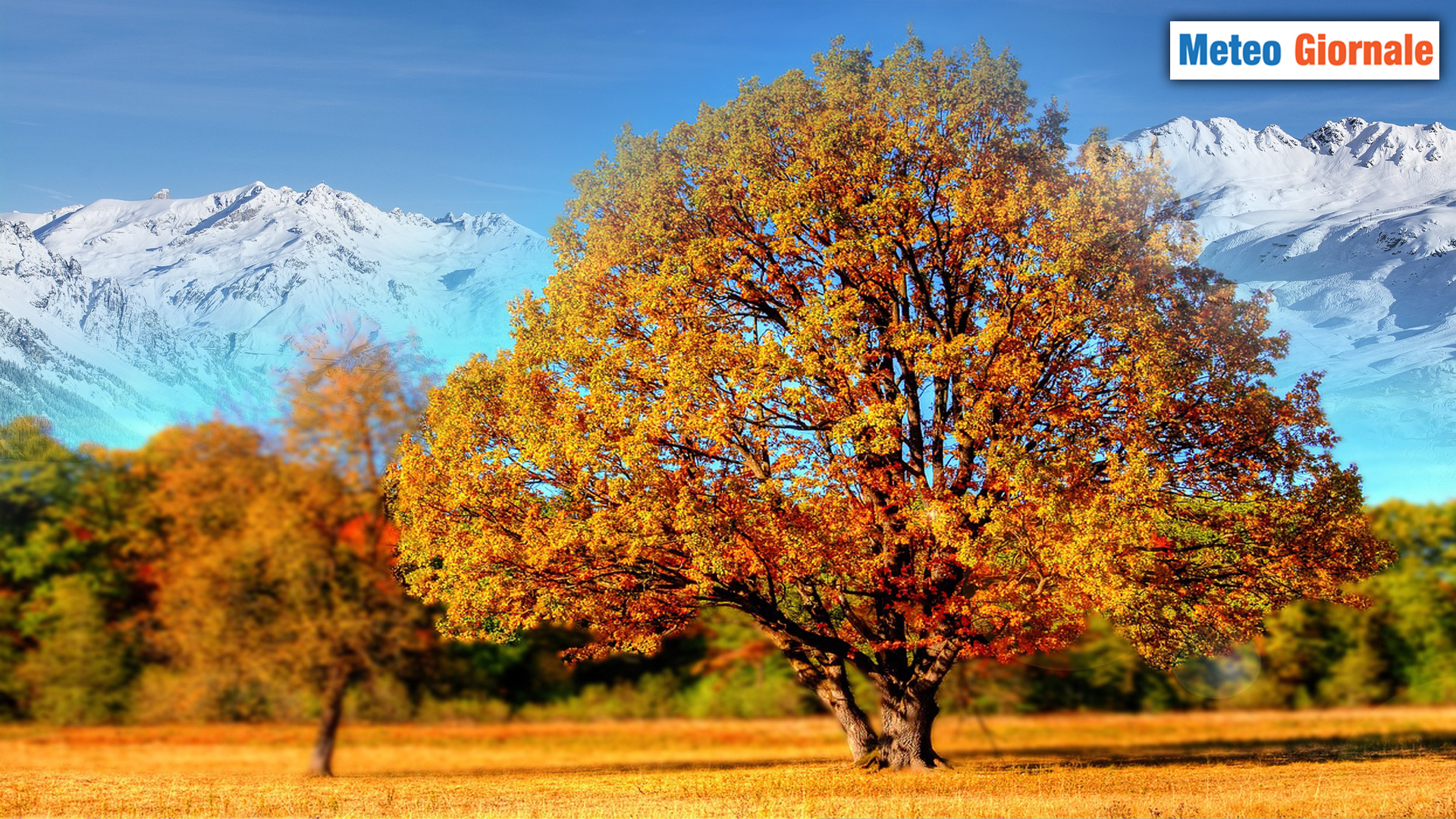 What do you say, is it full AUTUMN? Actually, it’s almost WINTER weather thumbnail