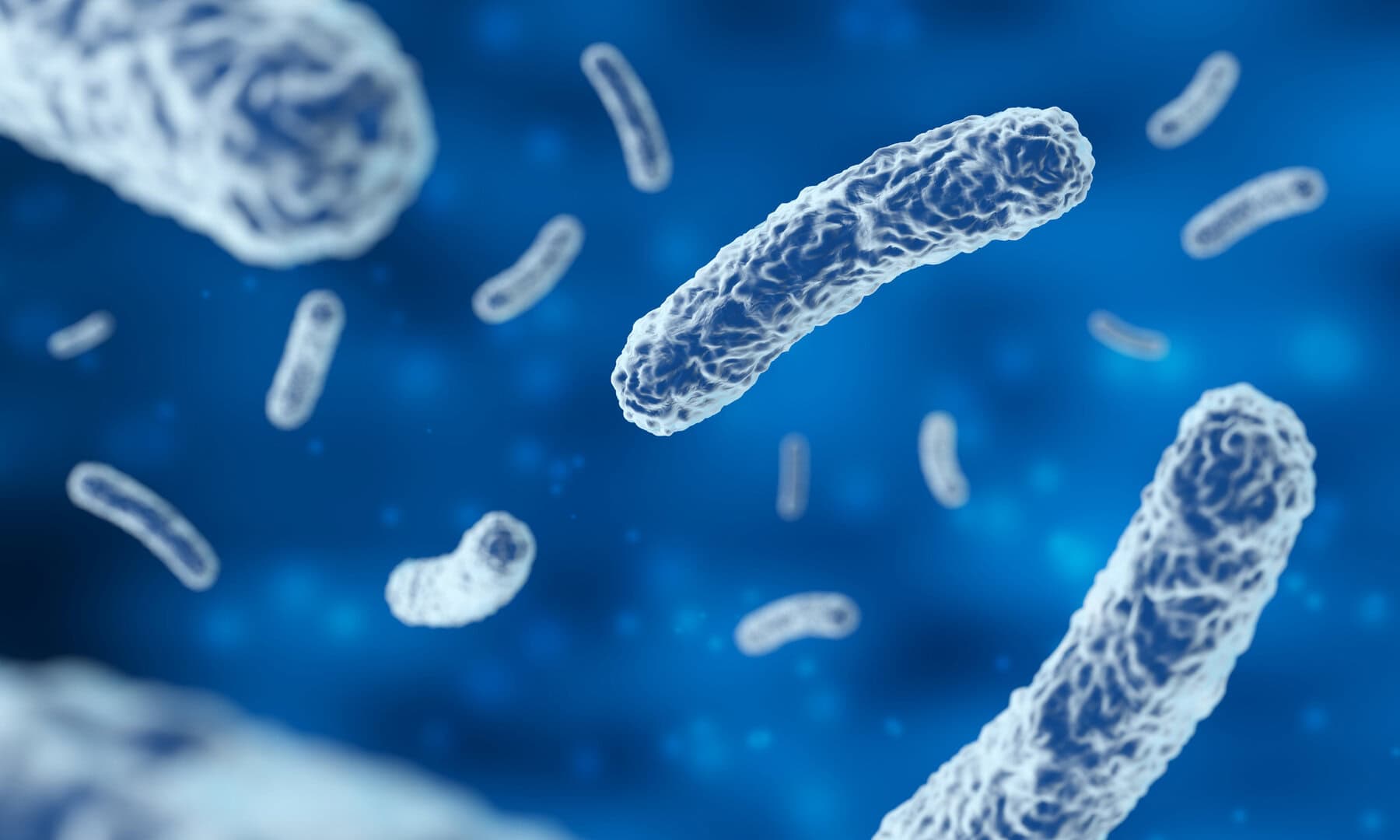 Scoperta preoccupante: batteri e funghi sopravvivono oltre il confine planetario della Terra