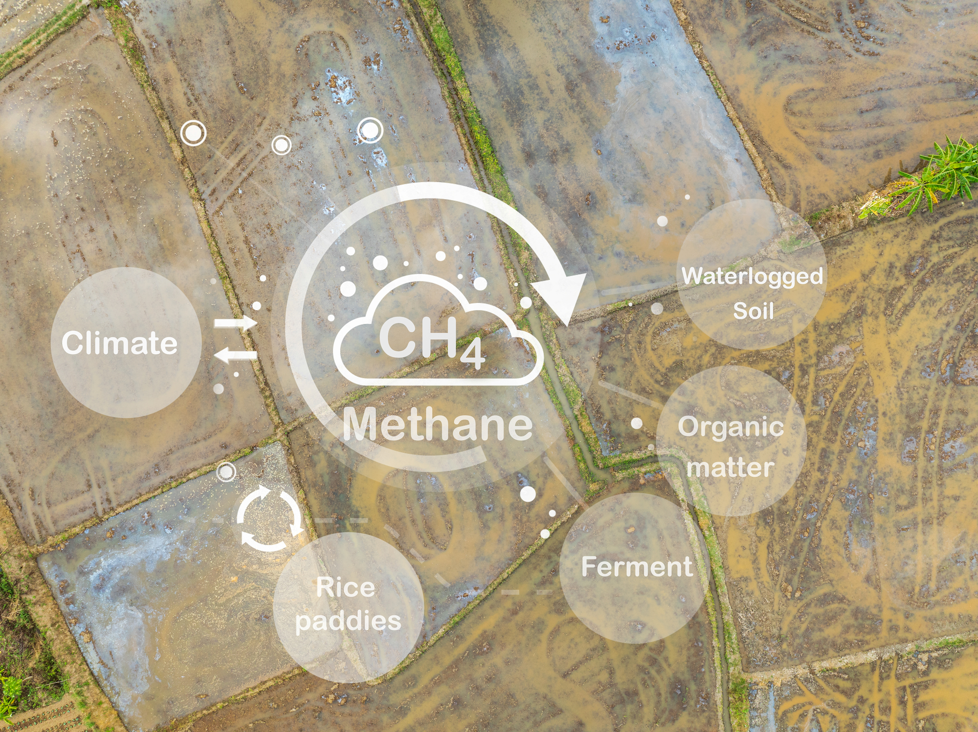 El aumento de las emisiones de metano pone en riesgo los objetivos climáticos globales thumbnail