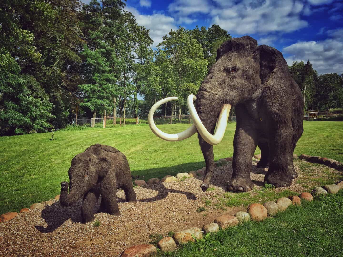 Il killer dei mammut? Una banale febbre da fieno!
