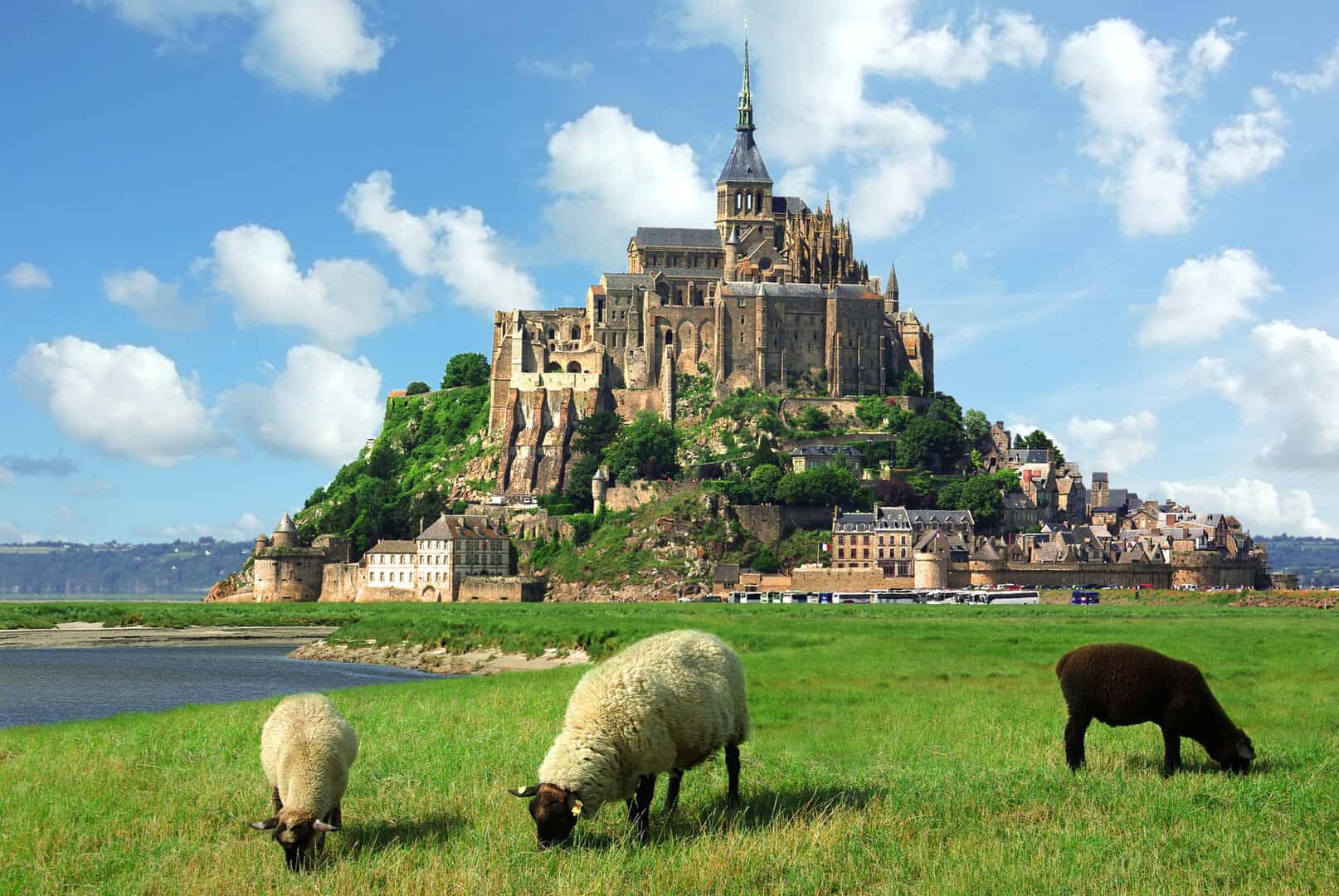 mont saint michel 1015
