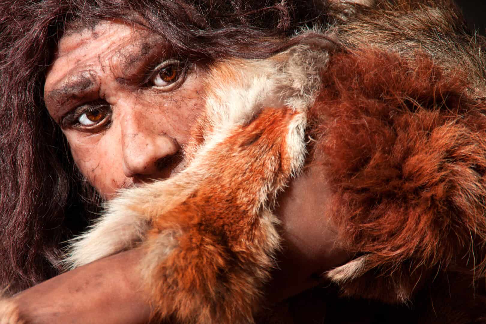 I Neanderthal erano più umani di noi? Il mito negativo da sfatare sui nostri cugini estinti