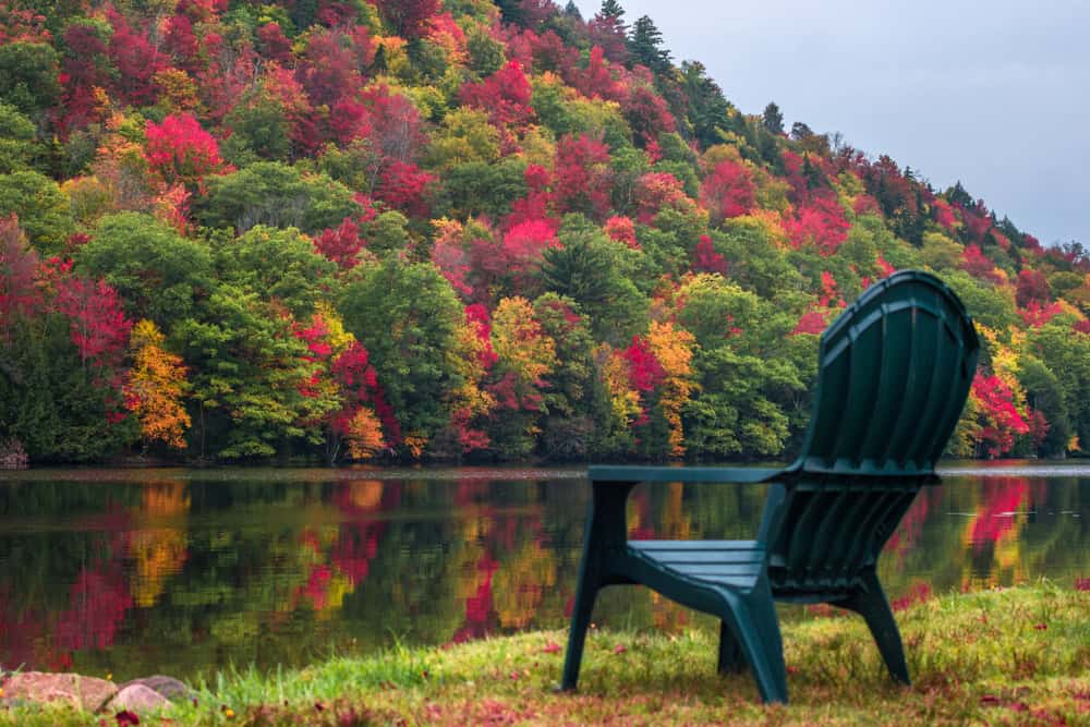 FOTO dal Vermont in Autunno: lo spettacolo del foliage prima dell'arrivo dell'Inverno 4 shutterstock 1035579850
