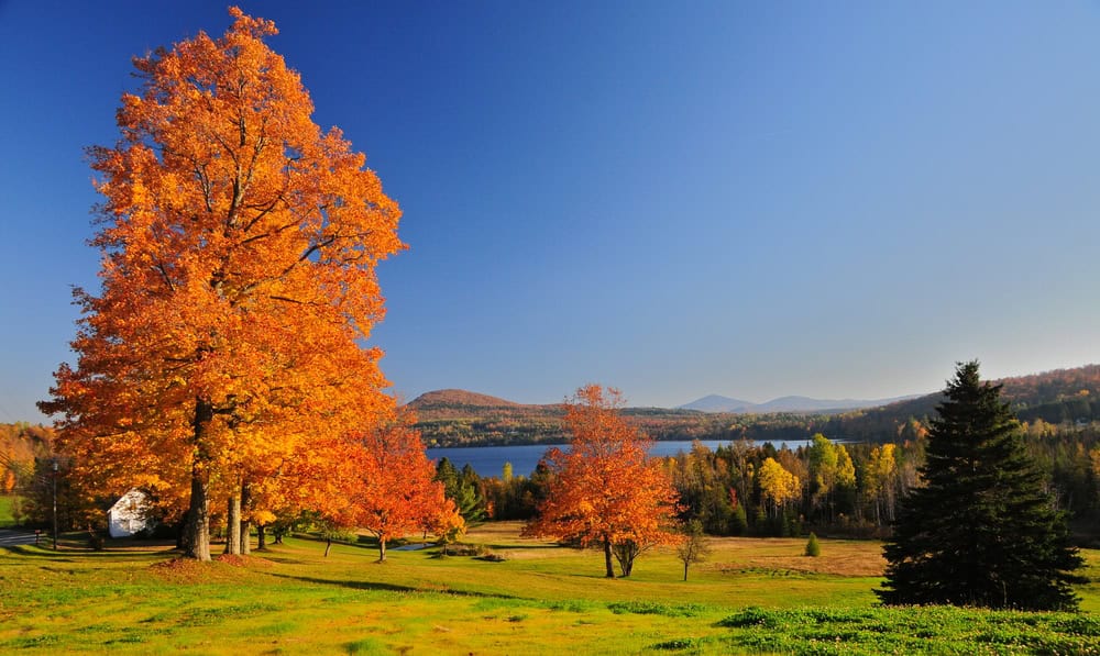 FOTO dal Vermont in Autunno: lo spettacolo del foliage prima dell'arrivo dell'Inverno 2 shutterstock 109683275