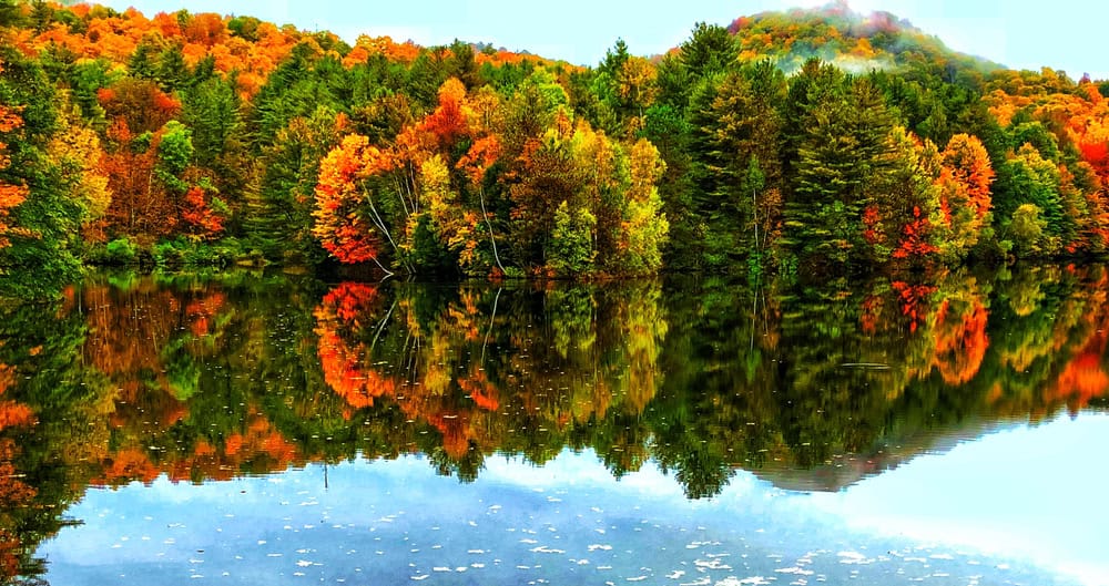 FOTO dal Vermont in Autunno: lo spettacolo del foliage prima dell'arrivo dell'Inverno 5 shutterstock 1215914287