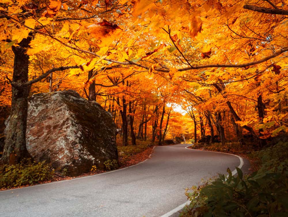 FOTO dal Vermont in Autunno: lo spettacolo del foliage prima dell'arrivo dell'Inverno 6 shutterstock 1257004786