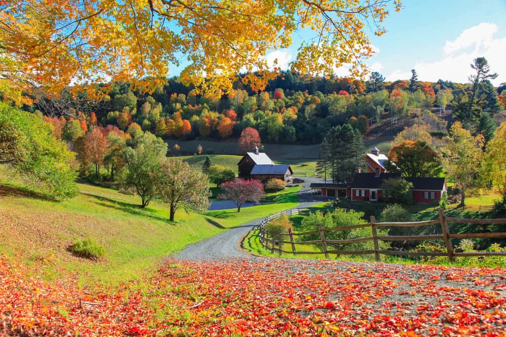 FOTO dal Vermont in Autunno: lo spettacolo del foliage prima dell'arrivo dell'Inverno 8 shutterstock 2041464347