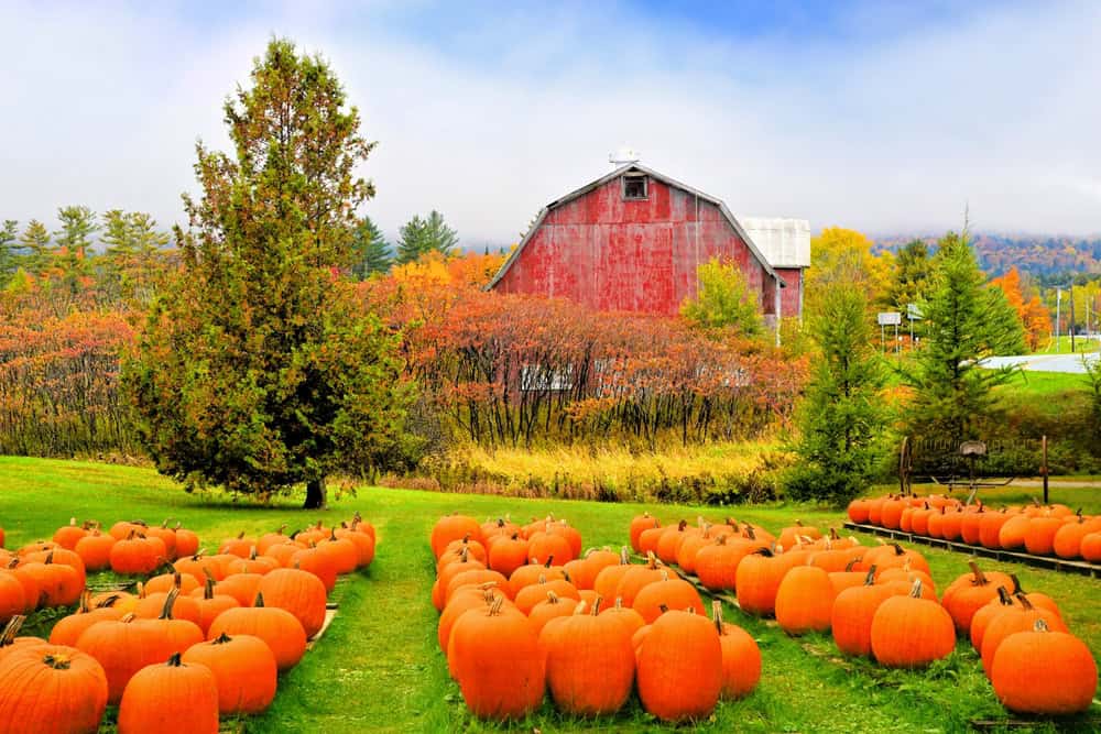 FOTO dal Vermont in Autunno: lo spettacolo del foliage prima dell'arrivo dell'Inverno 10 shutterstock 2352919793