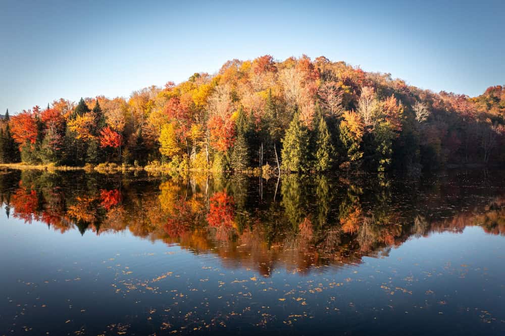FOTO dal Vermont in Autunno: lo spettacolo del foliage prima dell'arrivo dell'Inverno 11 shutterstock 2407277027
