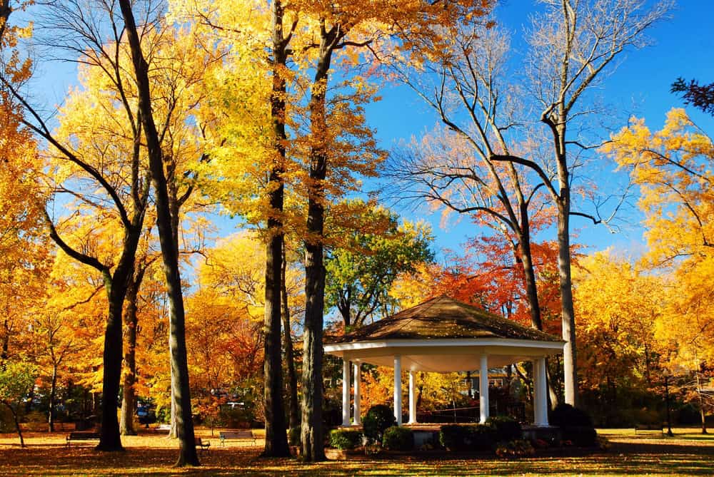 FOTO dal Vermont in Autunno: lo spettacolo del foliage prima dell'arrivo dell'Inverno 12 shutterstock 2436646143