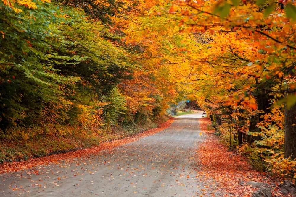 FOTO dal Vermont in Autunno: lo spettacolo del foliage prima dell'arrivo dell'Inverno 14 shutterstock 2492487199