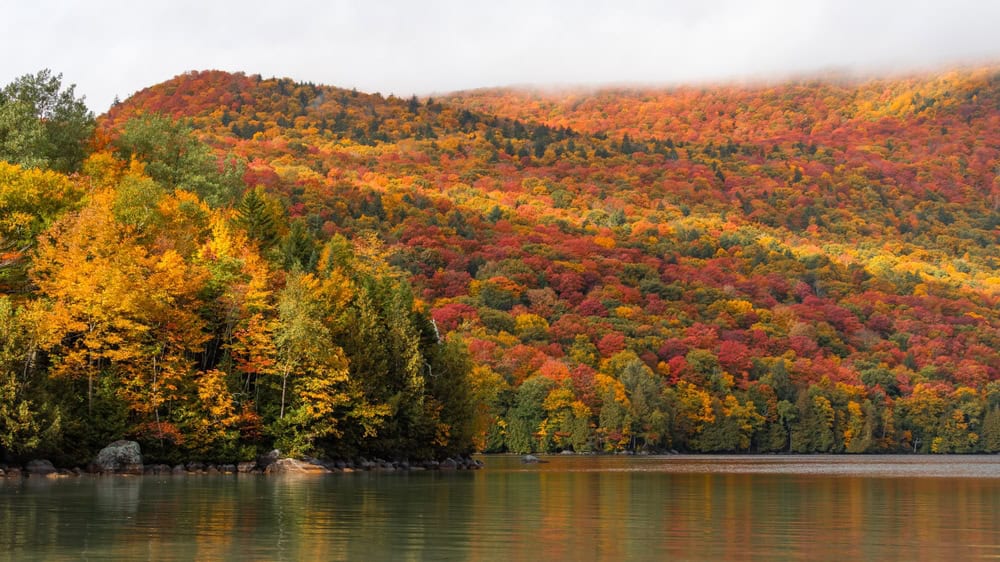 FOTO dal Vermont in Autunno: lo spettacolo del foliage prima dell'arrivo dell'Inverno 15 shutterstock 2509484679