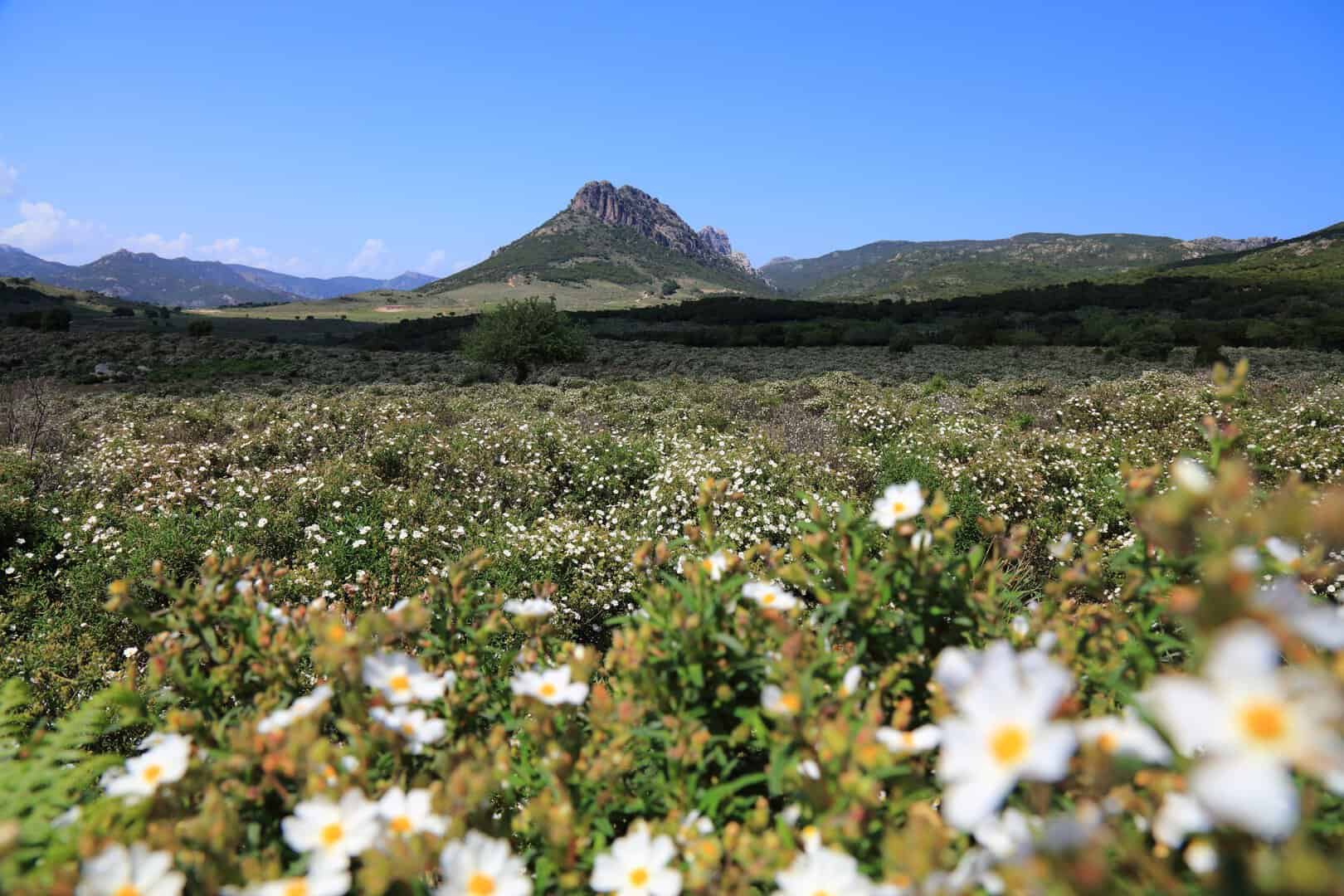 supramonte nuoro sardegna 1014
