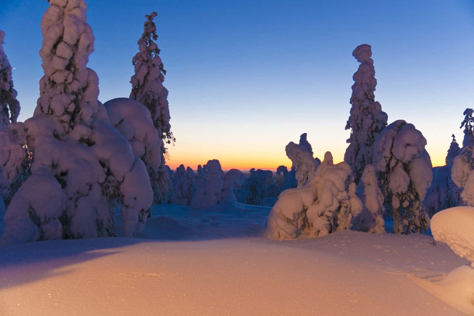 Viaggio attraverso le foreste incantate di Syöte: un’avventura finlandese da scoprire