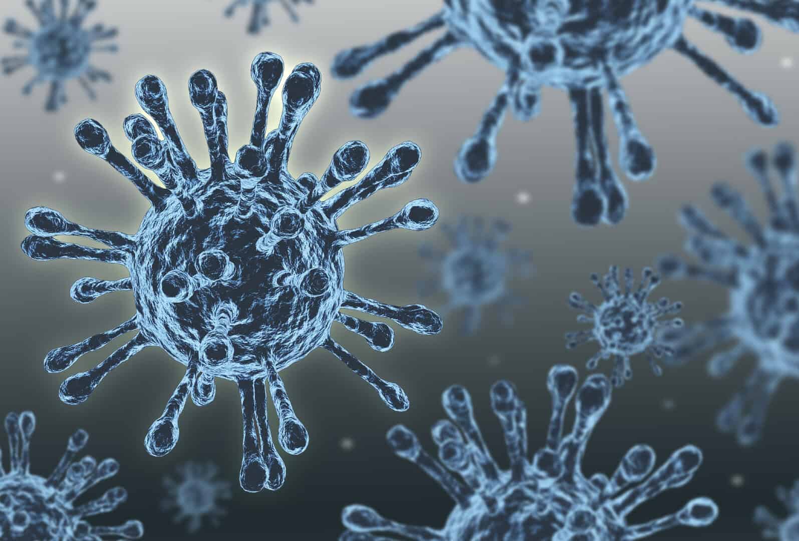 Virus capaci di infettare gli umani si diffondono rapidamente nelle pelliccerie cinesi